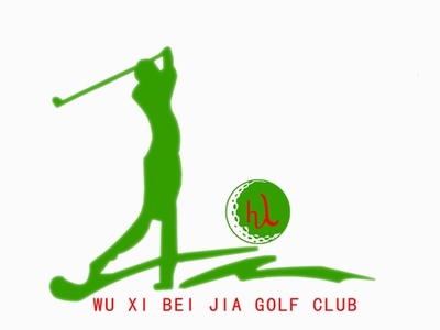 中科阿凡达色精 耐迁移色精绿R-116 价格优惠